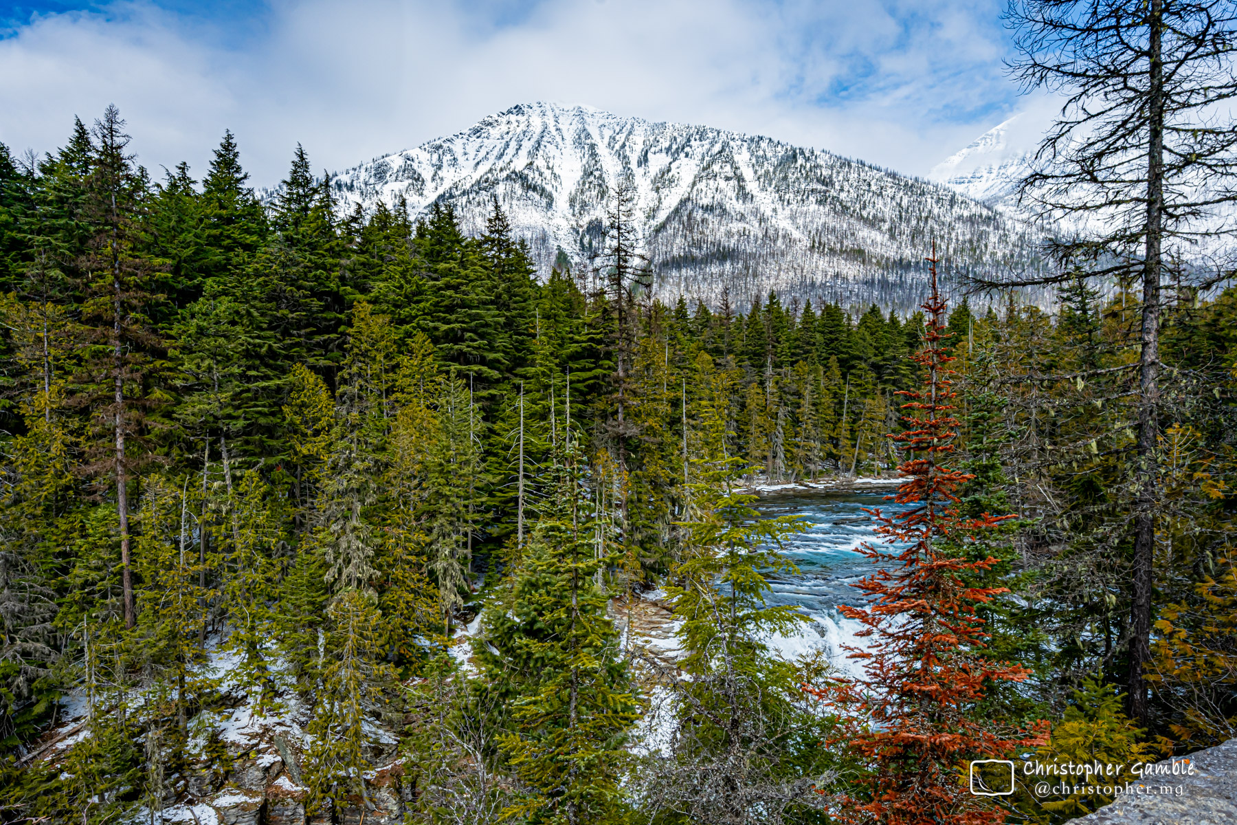 Whitefish / Kalispell March `24