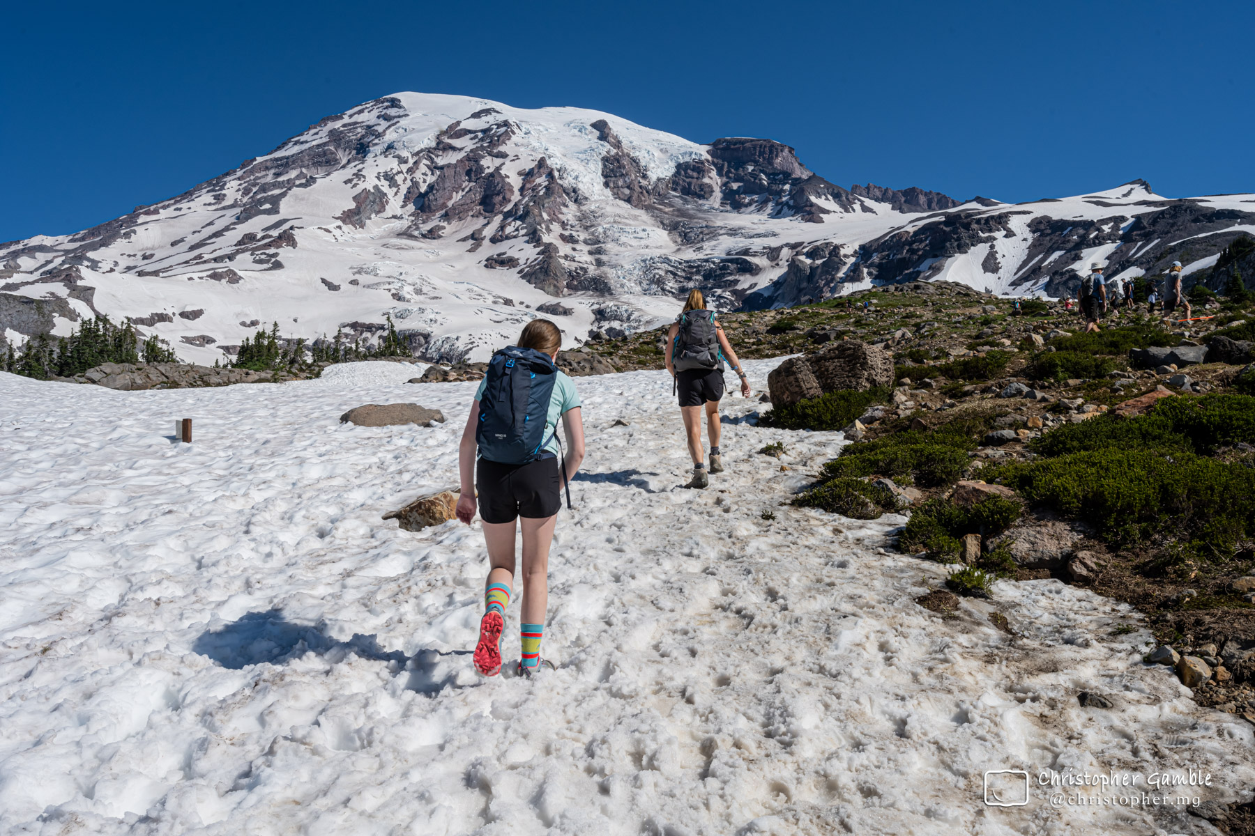 Mt Raineer, Washington`24