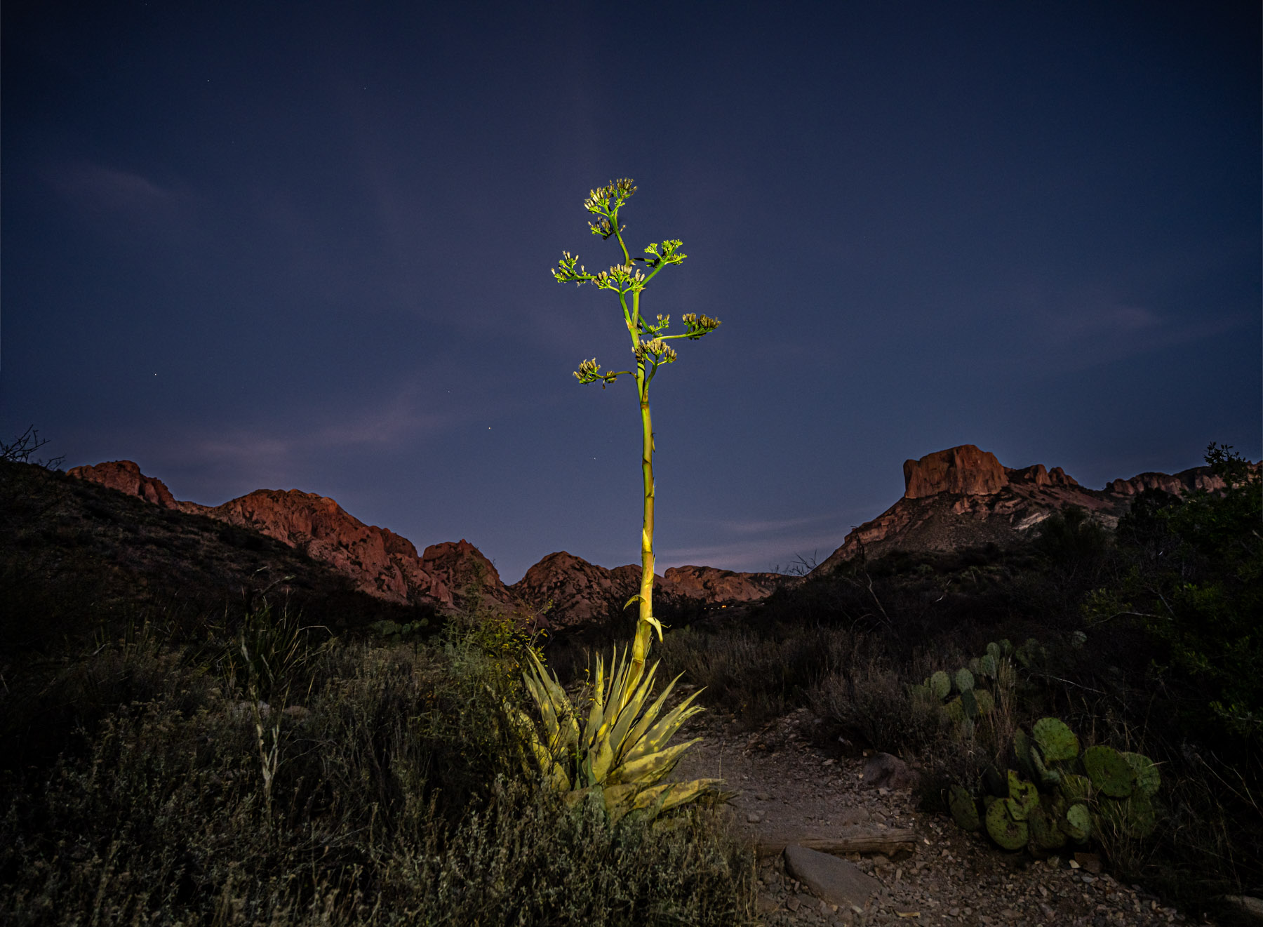 Big Bend – Winter `22